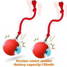TailsAura™ Smart Rolling/Motion Ball – Interactive Dog&Cat Toy