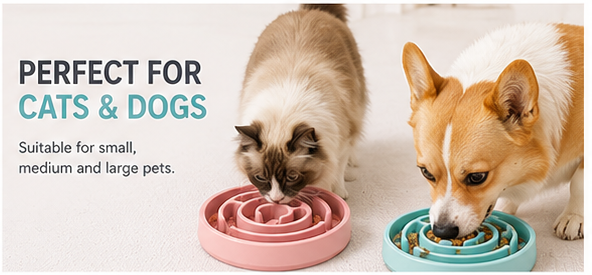 TailsAura Slow Feeding Ceramic Maze Bowl – Interactive Anti-Gulp Pet Feeder for Cats & Dogs