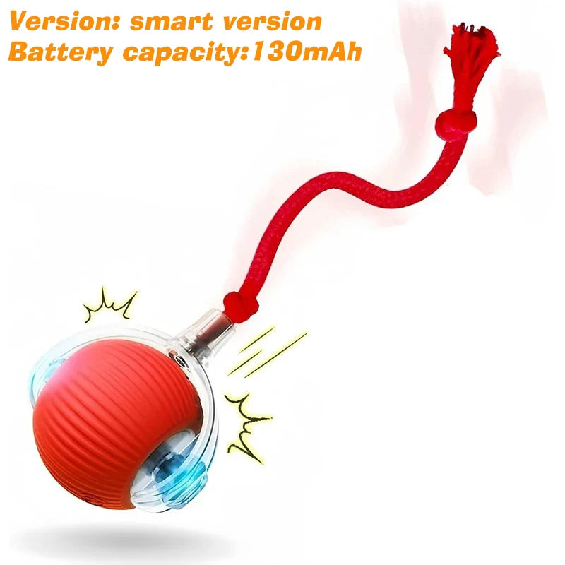 TailsAura™ Smart Rolling/Motion Ball – Interactive Dog&Cat Toy