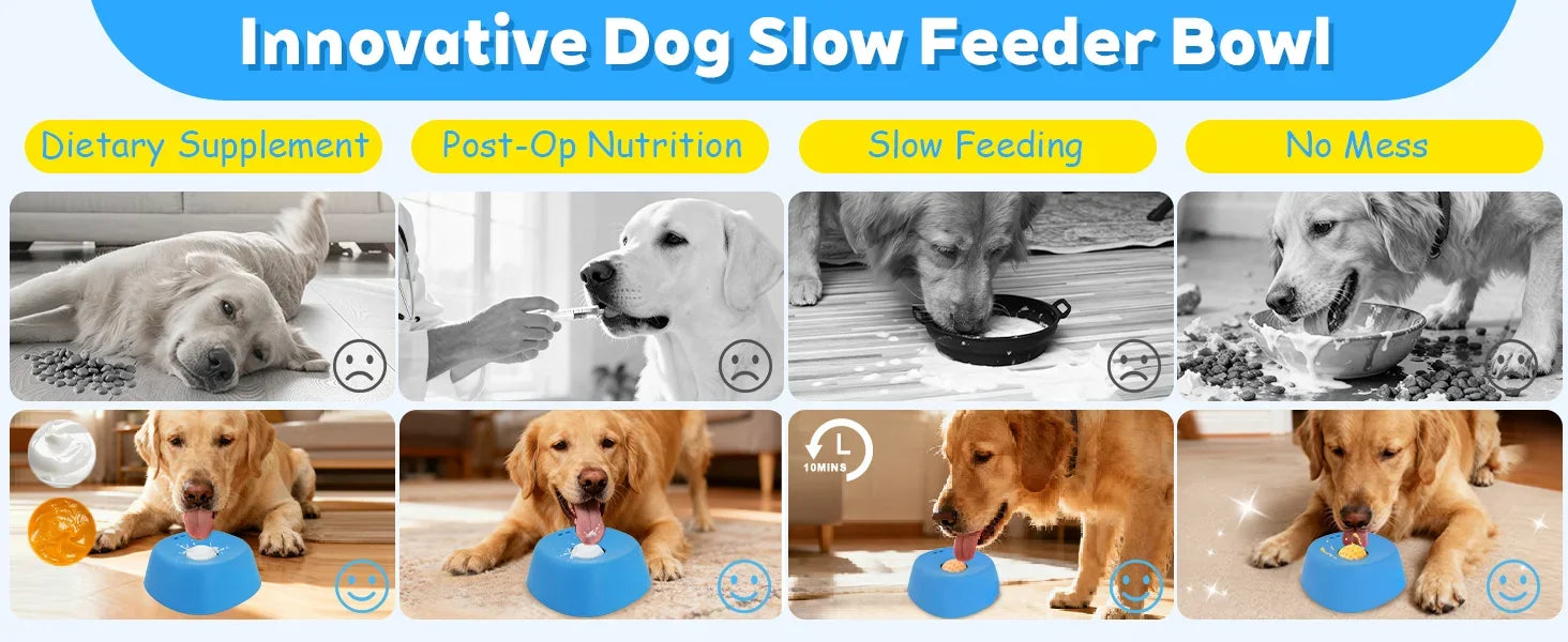 TailsAura - Lick & Slow Feeder Bowl