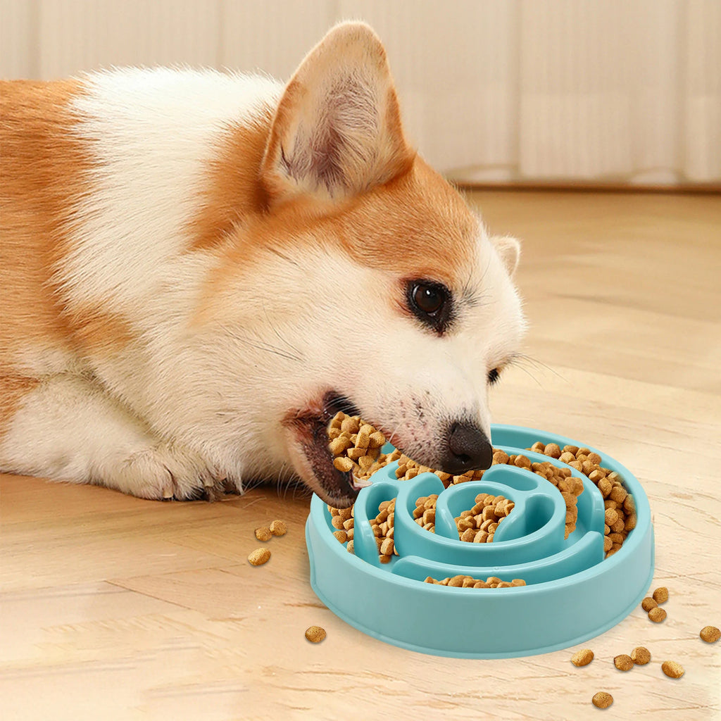 TailsAura Slow Feeding Ceramic Maze Bowl – Interactive Anti-Gulp Pet Feeder for Cats & Dogs