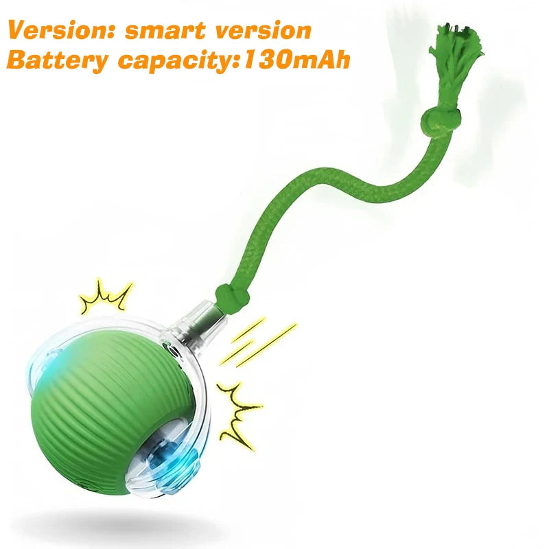 TailsAura™ Smart Rolling/Motion Ball – Interactive Dog&Cat Toy