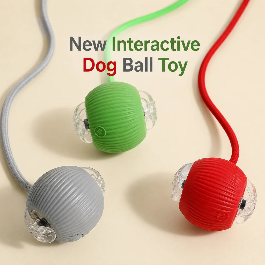 TailsAura™ Smart Rolling/Motion Ball – Interactive Dog&Cat Toy