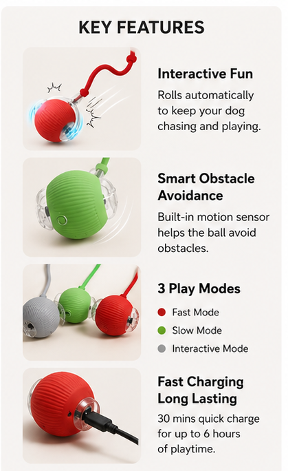 TailsAura™ Smart Rolling/Motion Ball – Interactive Dog&Cat Toy
